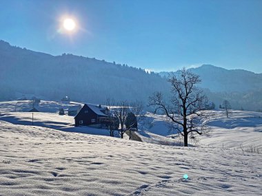 Geleneksel İsviçre mimarisi ve beyaz kar örtüsünün kış ortamında ahşap alp evler, Nesslau - Obertoggenburg, İsviçre (Schweiz)