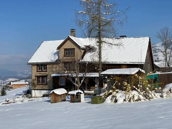 Traditional Swiss Architecture Wooden Alpine Houses Winter Ambience Fresh White — стоковое фото