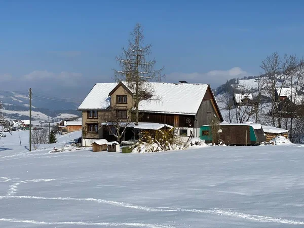 Arquitetura Tradicional Suíça Casas Alpinas Madeira Ambiente Inverno Neve Branca — Fotografia de Stock