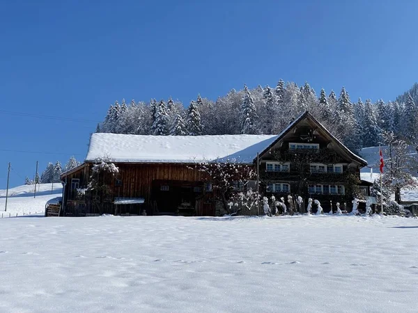 Geleneksel Sviçre Mimarisi Beyaz Kar Örtüsünün Kış Ortamında Ahşap Alp — Stok fotoğraf