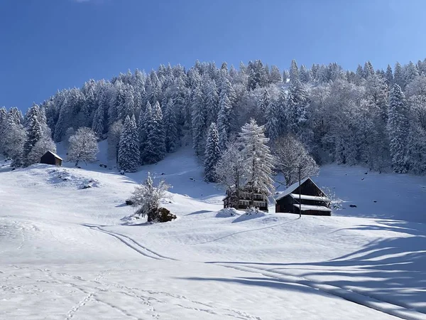 Traditional Swiss Architecture Wooden Alpine Houses Winter Ambience Fresh White — ストック写真