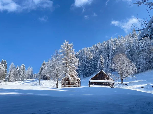 新鮮な白い雪のカバー ネスラウ州の冬の雰囲気の中で伝統的なスイスの建築と木造の高山の家 Obertoggenburg スイス スイス — ストック写真