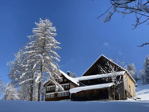 Tradiční Švýcarská Architektura Dřevěné Alpské Domy Zimním Prostředí Svěží Bílé — Stock fotografie