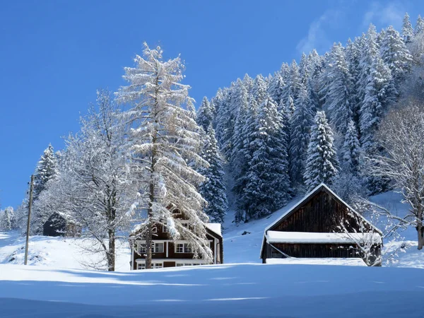 Architecture Traditionnelle Suisse Maisons Alpines Bois Dans Ambiance Hivernale Neige — Photo