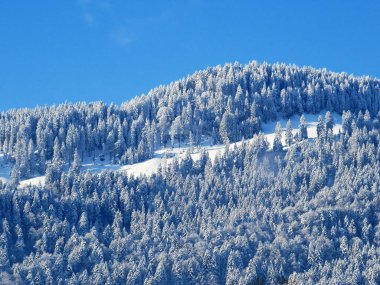 Peri masalı gibi soğuk kış atmosferi ve dağlık tepelerdeki ağaçlar, Nesslau - Obertoggenburg, İsviçre (Schweiz)