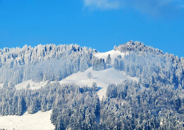 Sprookjesachtige Ijzige Wintersfeer Besneeuwde Naaldbomen Bergtoppen Boven Het Alpendal Nesslau — Stockfoto