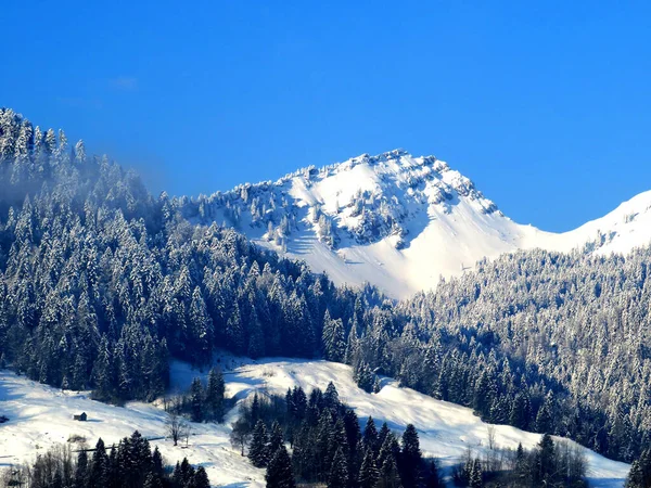 눈덮인 알프스 산봉우리 스피드무르리 스피어무에를 Speermuererli 1745M 장골짜기 있으며 부르크 — 스톡 사진