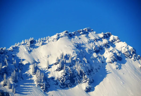 Ijental Vadisi 'nde ve Obertoggenburg bölgesinde yer alan Speermuerli (veya Speermuerli, 1745 m) karlı dağ zirvesi, Nesslau - İsviçre / İsviçre' nin St. Gallen Kantonu)