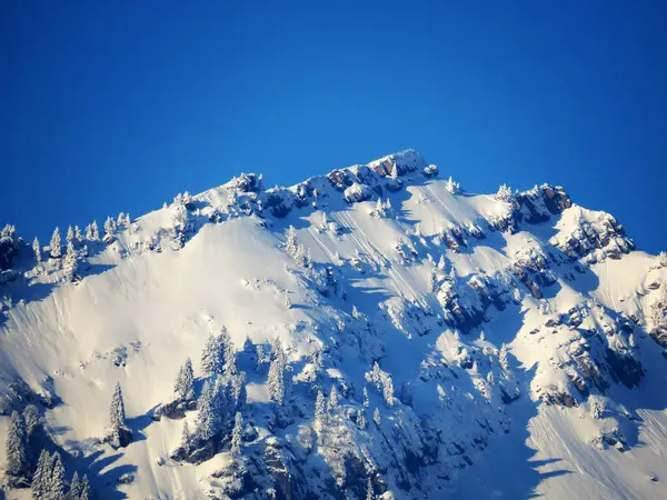 Ijental Vadisi 'nde ve Obertoggenburg bölgesinde yer alan Speermuerli (veya Speermuerli, 1745 m) karlı dağ zirvesi, Nesslau - İsviçre / İsviçre' nin St. Gallen Kantonu)
