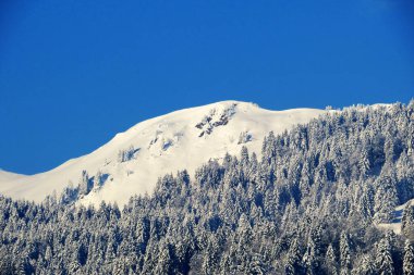 Karla kaplı alp zirvesi Bremacher Hochi (ya da Bremacher Hoechi, 1641 m) Ijental vadisinde, Nesslau - Obertoggenburg, İsviçre / Schweiz