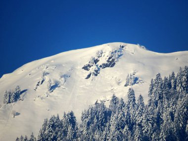 Karla kaplı alp zirvesi Bremacher Hochi (ya da Bremacher Hoechi, 1641 m) Ijental vadisinde, Nesslau - Obertoggenburg, İsviçre / Schweiz