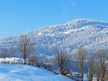 Alpstein ve Churfirsten dağ kitleleri, Nesslau - Obertoggenburg bölgesi, İsviçre / Schweiz arasındaki Thur nehir vadisinde (veya Thurtal) kar yağışı görülür.