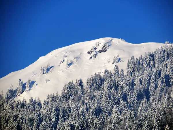 Karla kaplı alp zirvesi Bremacher Hochi (ya da Bremacher Hoechi, 1641 m) Ijental vadisinde, Nesslau - Obertoggenburg, İsviçre / Schweiz