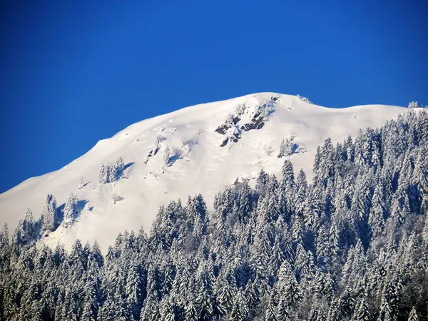 瑞士内斯劳 奥伯托根堡Ijental山谷上空白雪覆盖的高山峰Bremacher Hochi 或Bremacher Hoechi 1641米 — 图库照片