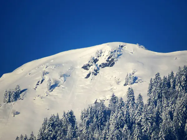 Karla kaplı alp zirvesi Bremacher Hochi (ya da Bremacher Hoechi, 1641 m) Ijental vadisinde, Nesslau - Obertoggenburg, İsviçre / Schweiz