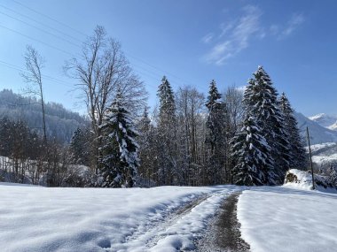Obertoggenburg Vadisi 'nin yukarısındaki kırsal dağlık yol boyunca ve Alpstein dağ sırasının yamaçlarında - Nesslau, İsviçre (Schweiz)