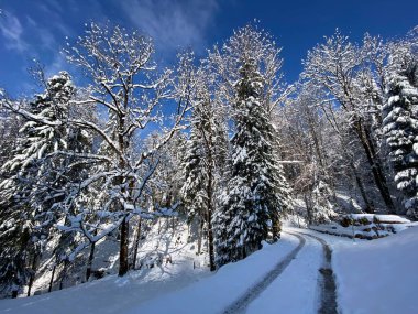 Obertoggenburg Vadisi 'nin yukarısındaki kırsal dağlık yol boyunca ve Alpstein dağ sırasının yamaçlarında - Nesslau, İsviçre (Schweiz)