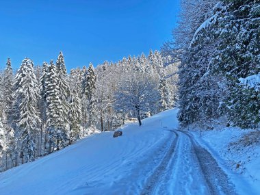 Obertoggenburg Vadisi 'nin yukarısındaki kırsal dağlık yol boyunca ve Alpstein dağ sırasının yamaçlarında - Nesslau, İsviçre (Schweiz)