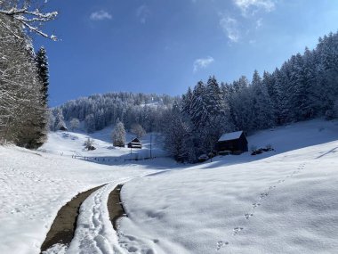 Obertoggenburg Vadisi 'nin yukarısındaki kırsal dağlık yol boyunca ve Alpstein dağ sırasının yamaçlarında - Nesslau, İsviçre (Schweiz)