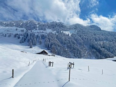 Obertoggenburg Vadisi 'nin yukarısındaki kırsal dağlık yol boyunca ve Alpstein dağ sırasının yamaçlarında - Nesslau, İsviçre (Schweiz)