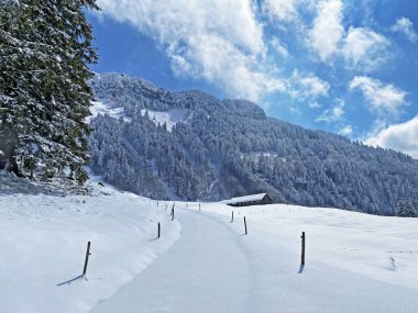 Obertoggenburg Vadisi 'nin yukarısındaki kırsal dağlık yol boyunca ve Alpstein dağ sırasının yamaçlarında - Nesslau, İsviçre (Schweiz)
