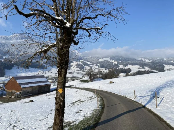 Winterliche Schneeidylle Entlang Der Ländlichen Alpenstraße Oberhalb Des Obertoggenburgtals Und — Stockfoto