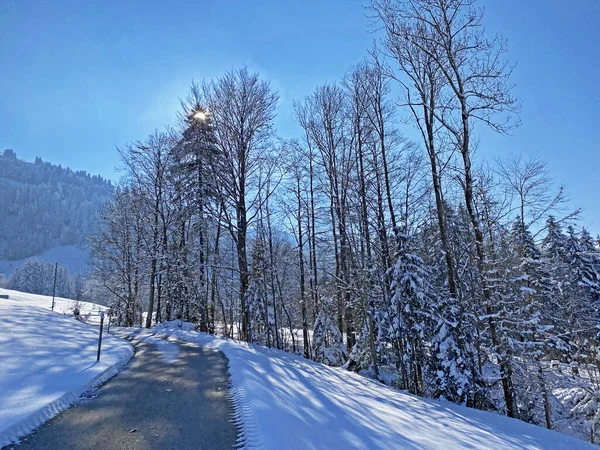Obertoggenburg Vadisi 'nin yukarısındaki kırsal dağlık yol boyunca ve Alpstein dağ sırasının yamaçlarında - Nesslau, İsviçre (Schweiz)