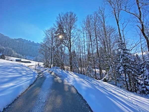 Winterliche Schneeidylle Entlang Der Ländlichen Alpenstraße Oberhalb Des Obertoggenburgtals Und — Stockfoto