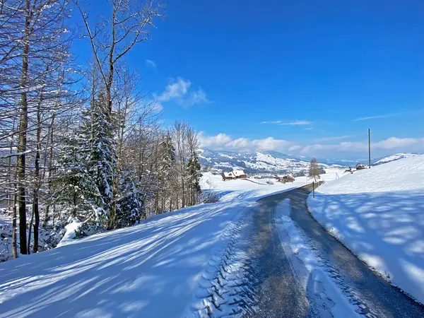 Obertoggenburg Vadisi 'nin yukarısındaki kırsal dağlık yol boyunca ve Alpstein dağ sırasının yamaçlarında - Nesslau, İsviçre (Schweiz)