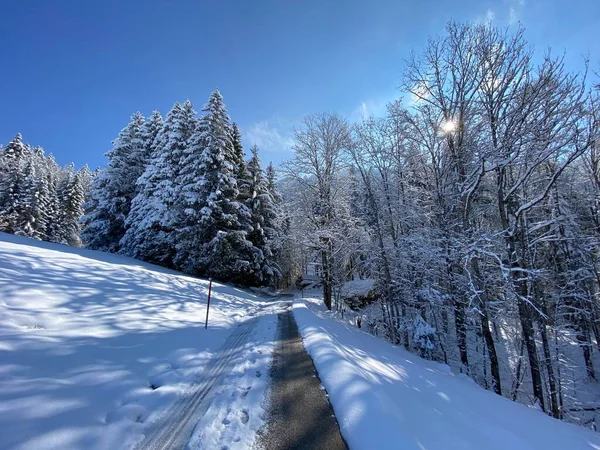 Zimní Sněhová Idylka Podél Alpské Silnice Nad Údolím Obertoggenburgu Svazích — Stock fotografie
