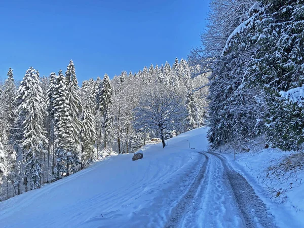 Obertoggenburg Vadisi 'nin yukarısındaki kırsal dağlık yol boyunca ve Alpstein dağ sırasının yamaçlarında - Nesslau, İsviçre (Schweiz)