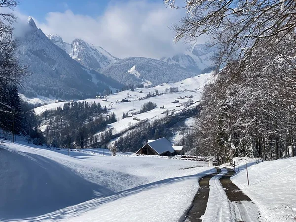 Obertoggenburg Vadisi 'nin yukarısındaki kırsal dağlık yol boyunca ve Alpstein dağ sırasının yamaçlarında - Nesslau, İsviçre (Schweiz)