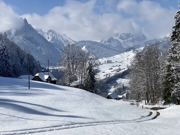 Inverno Idillio Neve Lungo Strada Rurale Alpina Sopra Valle Obertoggenburg — Foto Stock