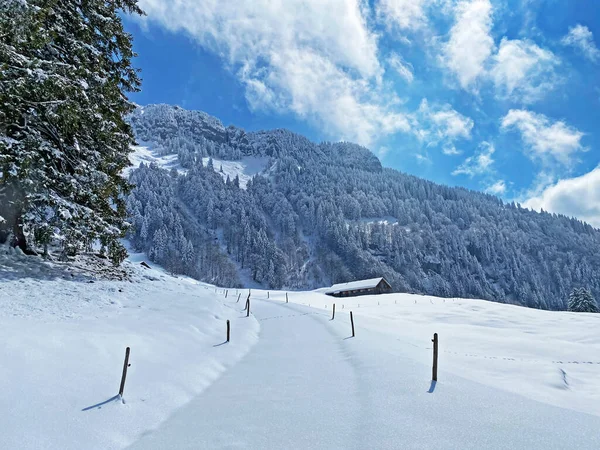 Winter Snow Idyll Rural Alpine Road Obertoggenburg Valley Slopes Alpstein — стоковое фото