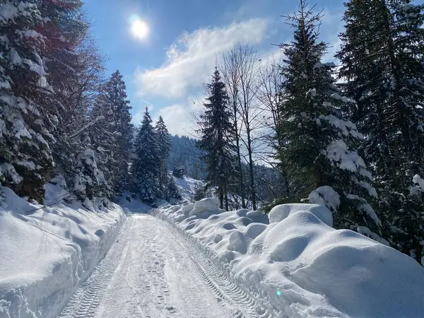 Obertoggenburg Vadisi 'nin yukarısındaki kırsal dağlık yol boyunca ve Alpstein dağ sırasının yamaçlarında - Nesslau, İsviçre (Schweiz)