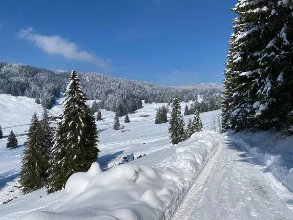Idílio Neve Inverno Longo Estrada Alpina Rural Acima Vale Obertoggenburg — Fotografia de Stock