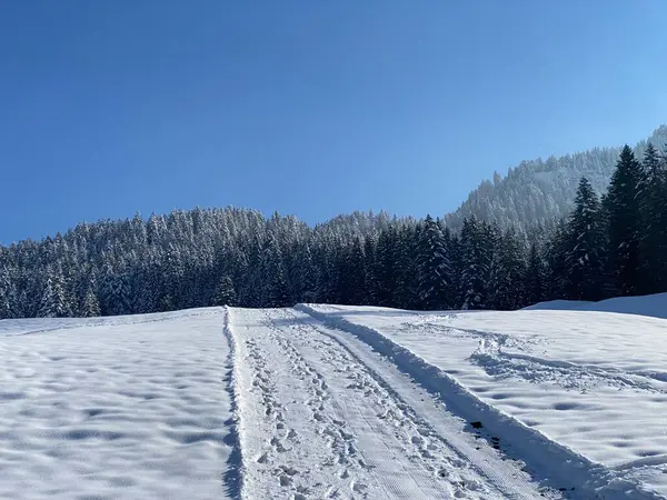 Winter Snow Idyll Rural Alpine Road Obertoggenburg Valley Slopes Alpstein — стоковое фото