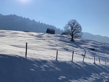 İsviçre çayırlarındaki yerli dağ kulübeleri ve ahşap ahırlar taze beyaz kar örtüsüyle kaplıdır, Nesslau - Obertoggenburg, İsviçre (Schweiz)