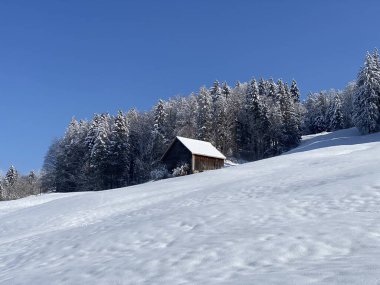 İsviçre çayırlarındaki yerli dağ kulübeleri ve ahşap ahırlar taze beyaz kar örtüsüyle kaplıdır, Nesslau - Obertoggenburg, İsviçre (Schweiz)