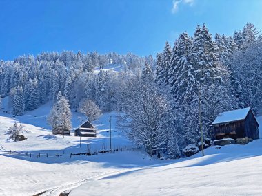 İsviçre çayırlarındaki yerli dağ kulübeleri ve ahşap ahırlar taze beyaz kar örtüsüyle kaplıdır, Nesslau - Obertoggenburg, İsviçre (Schweiz)