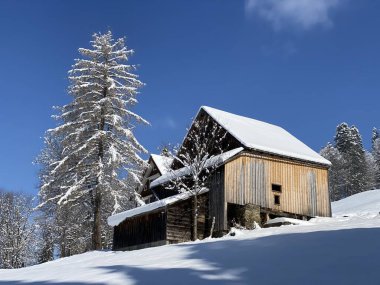 İsviçre çayırlarındaki yerli dağ kulübeleri ve ahşap ahırlar taze beyaz kar örtüsüyle kaplıdır, Nesslau - Obertoggenburg, İsviçre (Schweiz)