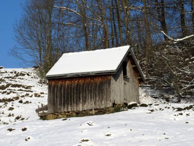 İsviçre çayırlarındaki yerli dağ kulübeleri ve ahşap ahırlar taze beyaz kar örtüsüyle kaplıdır, Nesslau - Obertoggenburg, İsviçre (Schweiz)