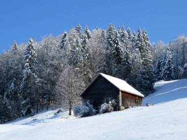 İsviçre çayırlarındaki yerli dağ kulübeleri ve ahşap ahırlar taze beyaz kar örtüsüyle kaplıdır, Nesslau - Obertoggenburg, İsviçre (Schweiz)