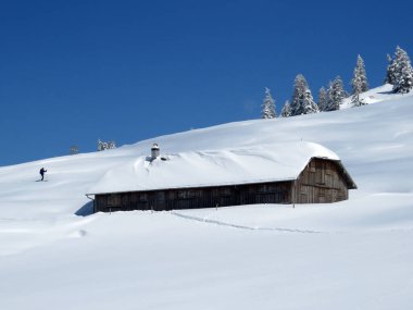 İsviçre çayırlarındaki yerli dağ kulübeleri ve ahşap ahırlar taze beyaz kar örtüsüyle kaplıdır, Nesslau - Obertoggenburg, İsviçre (Schweiz)