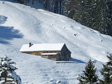 İsviçre çayırlarındaki yerli dağ kulübeleri ve ahşap ahırlar taze beyaz kar örtüsüyle kaplıdır, Nesslau - Obertoggenburg, İsviçre (Schweiz)