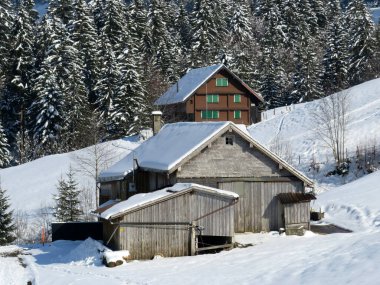 İsviçre çayırlarındaki yerli dağ kulübeleri ve ahşap ahırlar taze beyaz kar örtüsüyle kaplıdır, Nesslau - Obertoggenburg, İsviçre (Schweiz)