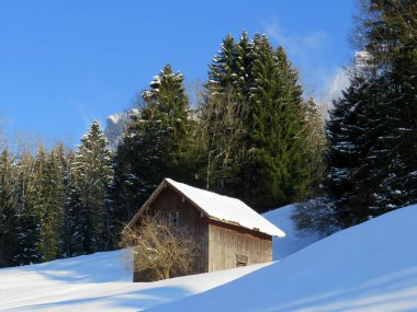 İsviçre çayırlarındaki yerli dağ kulübeleri ve ahşap ahırlar taze beyaz kar örtüsüyle kaplıdır, Nesslau - Obertoggenburg, İsviçre (Schweiz)