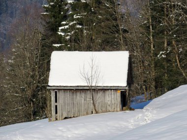 İsviçre çayırlarındaki yerli dağ kulübeleri ve ahşap ahırlar taze beyaz kar örtüsüyle kaplıdır, Nesslau - Obertoggenburg, İsviçre (Schweiz)