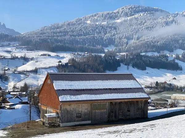 Heimische Almhütten Und Hölzerne Rinderställe Auf Schneebedeckten Schweizer Weiden Nesslau — Stockfoto