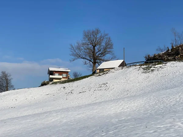 İsviçre çayırlarındaki yerli dağ kulübeleri ve ahşap ahırlar taze beyaz kar örtüsüyle kaplıdır, Nesslau - Obertoggenburg, İsviçre (Schweiz)